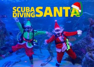 Scuba Diving Santa at SEA LIFE San Antonio