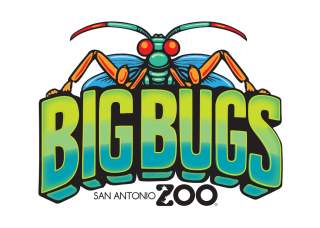 Big Bugs