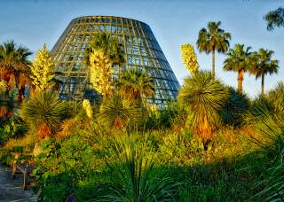 Neighbors in Nature Day at San Antonio Botanical Garden