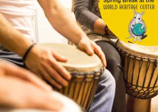 The Heartbeat of the Community: Drums Around the World