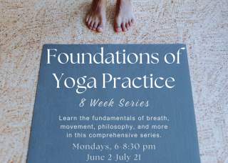 Foundations of Yoga Practice Series