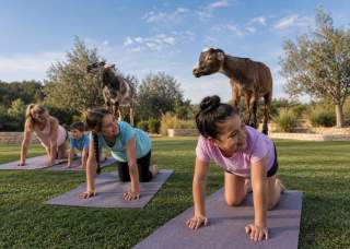 Goat Yoga at Signia by Hilton La Cantera Resort & Spa