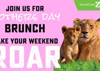 Mother's Day Brunch