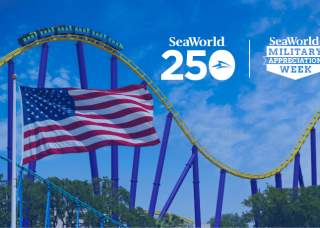 SeaWorld 250 + Military Appreciation Week