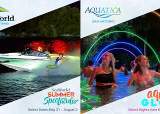 SeaWorld Summer Spectacular