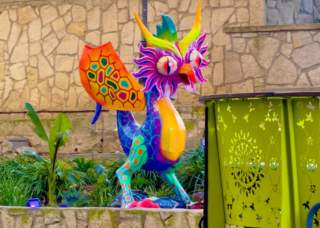 Rio De La Vida - Tradition Trail Tours