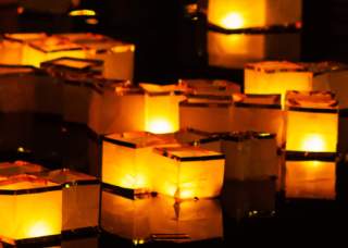 Wish: Water Lanterns in the Garden