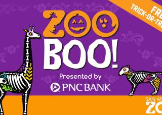 San Antonio Zoo Boo!, Presented by PNC Bank