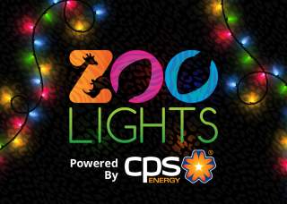 San Antonio Zoo: Zoo Lights