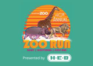 40th Annual Zoo Run, Presented by H-E-B