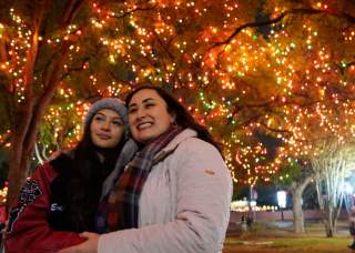 The 39th Annual Light the Way Holiday Festival