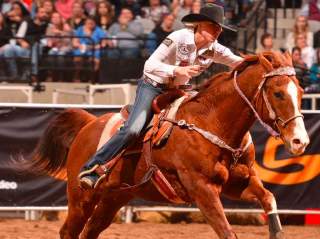San Antonio Stock Show & Rodeo