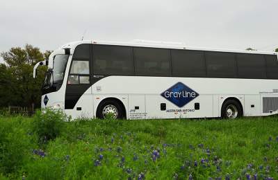 Gray Line Tours