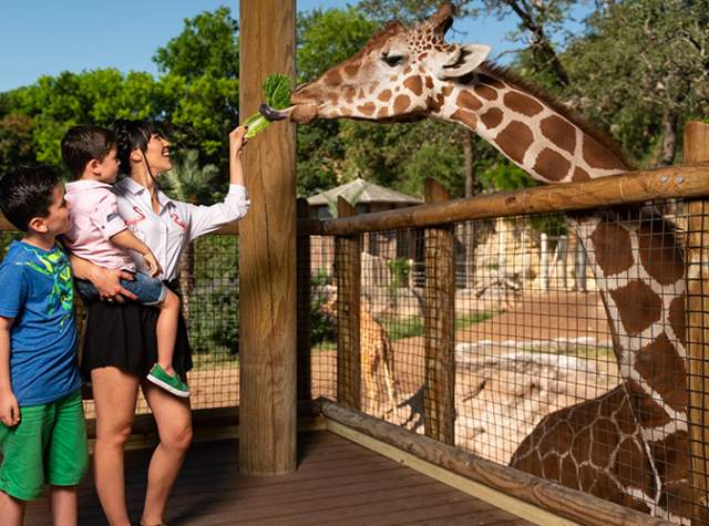 San Antonio Zoo