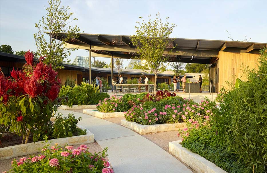 SABOT-1_D12FFA0D-5056-BFCE-