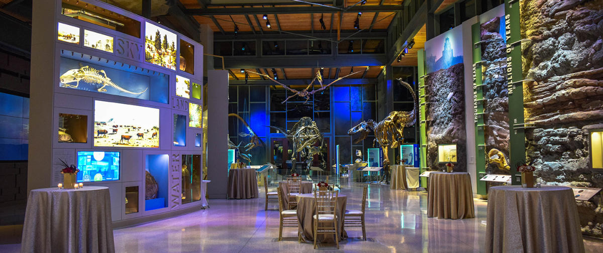 Witte Museum