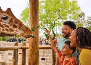 Family feeding a giraffe at the San Antonio Zoo.