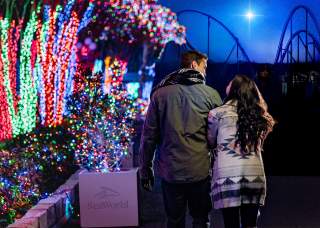 Couple walking side by side next to trees lit with holiday lights at SeaWorld San Antonio.