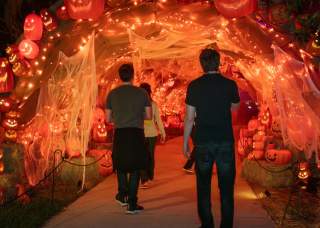 People walking into cave of jack-o-lanterns