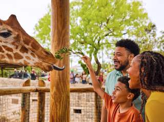 Family feeding a giraffe at the San Antonio Zoo.