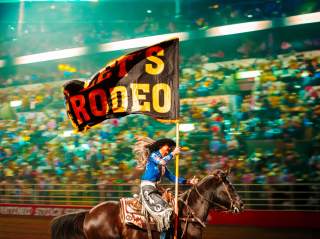 San Antonio Stock Show and Rodeo LETS RODEO Flag Rider