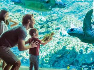 SeaWorld San Antonio & Aquatica