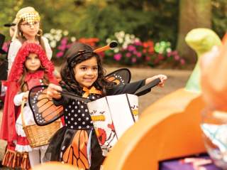 Girl dressed as monarch butterfly for Halloween holding out candy bag at SeaWorld San Antonio