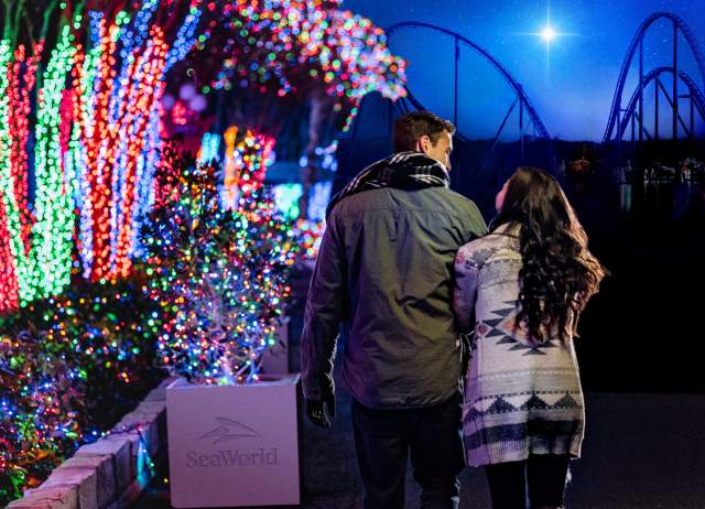 Couple walking side by side next to trees lit with holiday lights