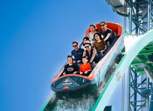 Family on rollercoaster on downward slope