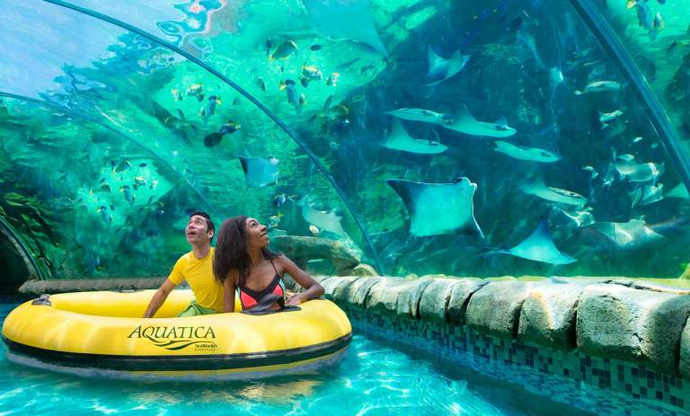 Los Mejores Eventos y Actividades de Verano en San Antonio