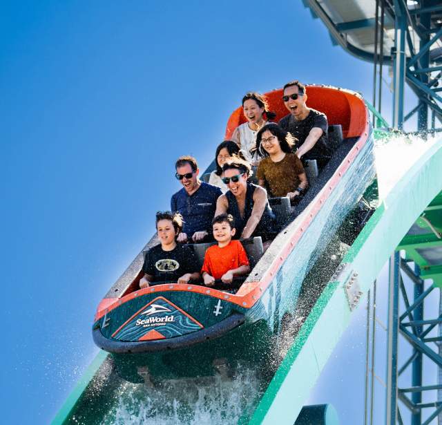 Family on rollercoaster on downward slope