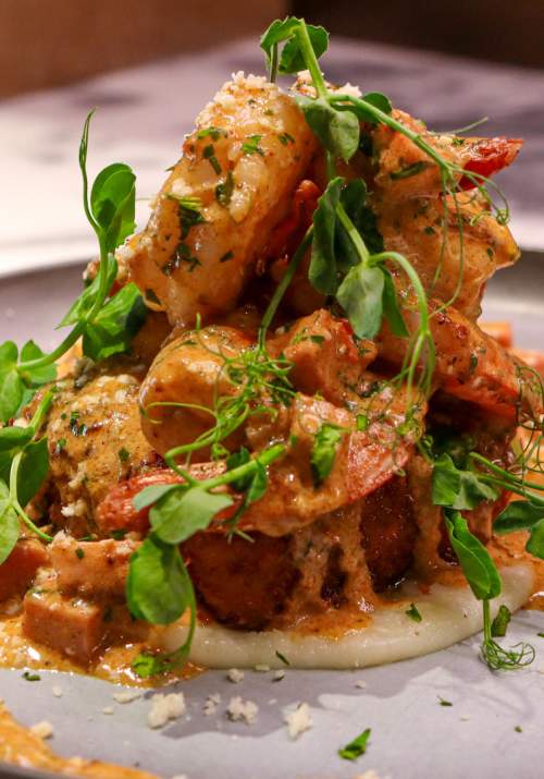 Plated dish with creamy toppings on top of it.