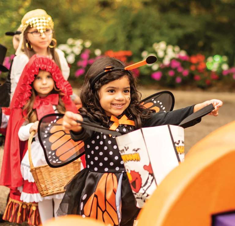 Girl dressed as monarch butterfly for Halloween holding out candy bag at SeaWorld San Antonio
