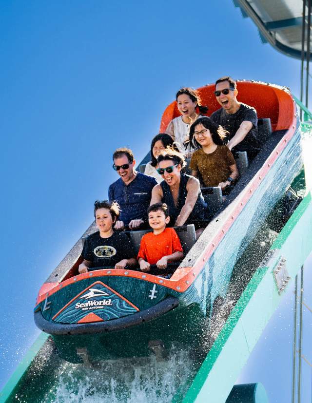Family on rollercoaster on downward slope