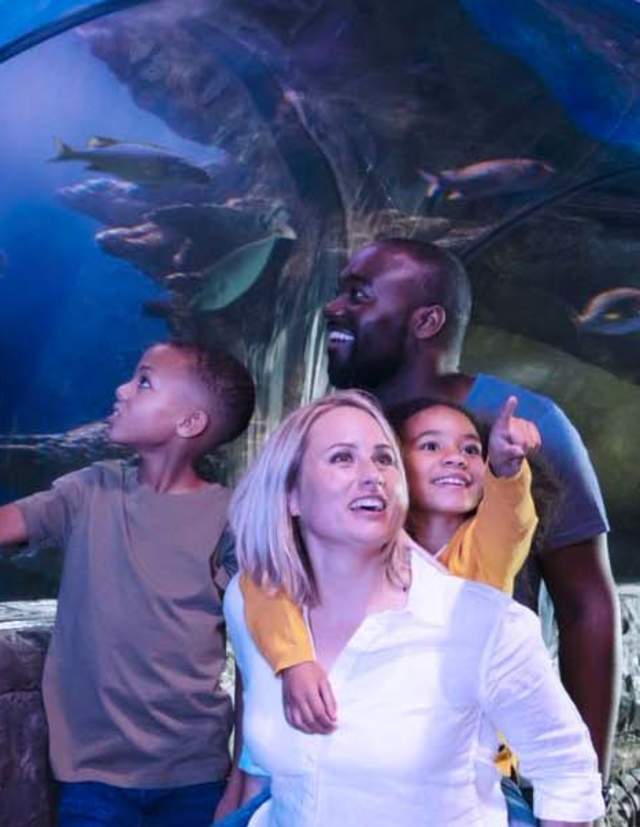 Family walking through marine tunnel