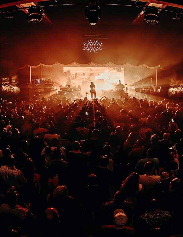 live music performance with crowd