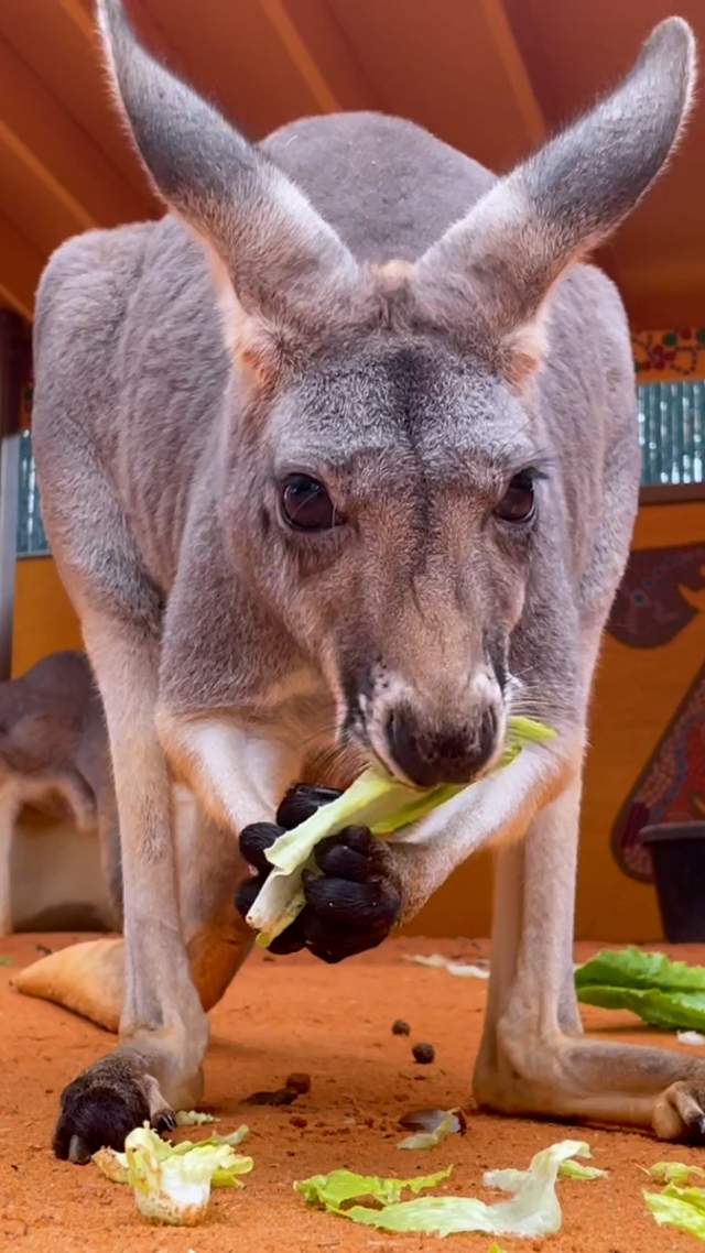 Why San Antonio Should Be on Your 2026 Travel List