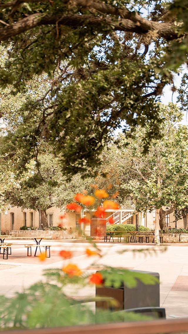 Shop Small in San Antonio: 8 Charming Local Businesses to Visit at La Villita
