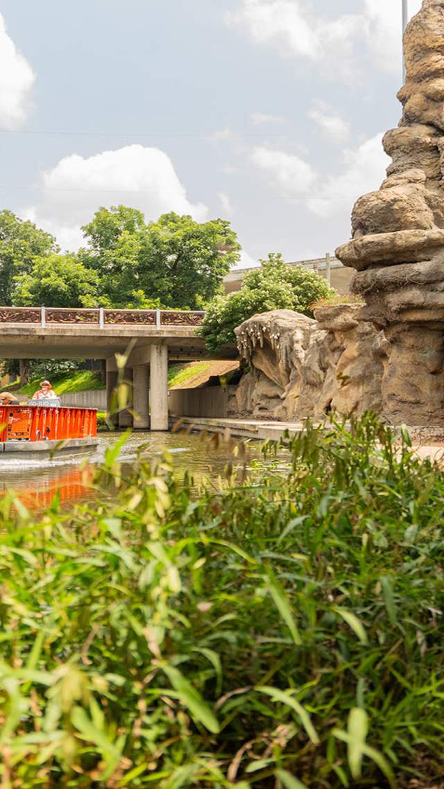 Grotto at San Antonio River Walk