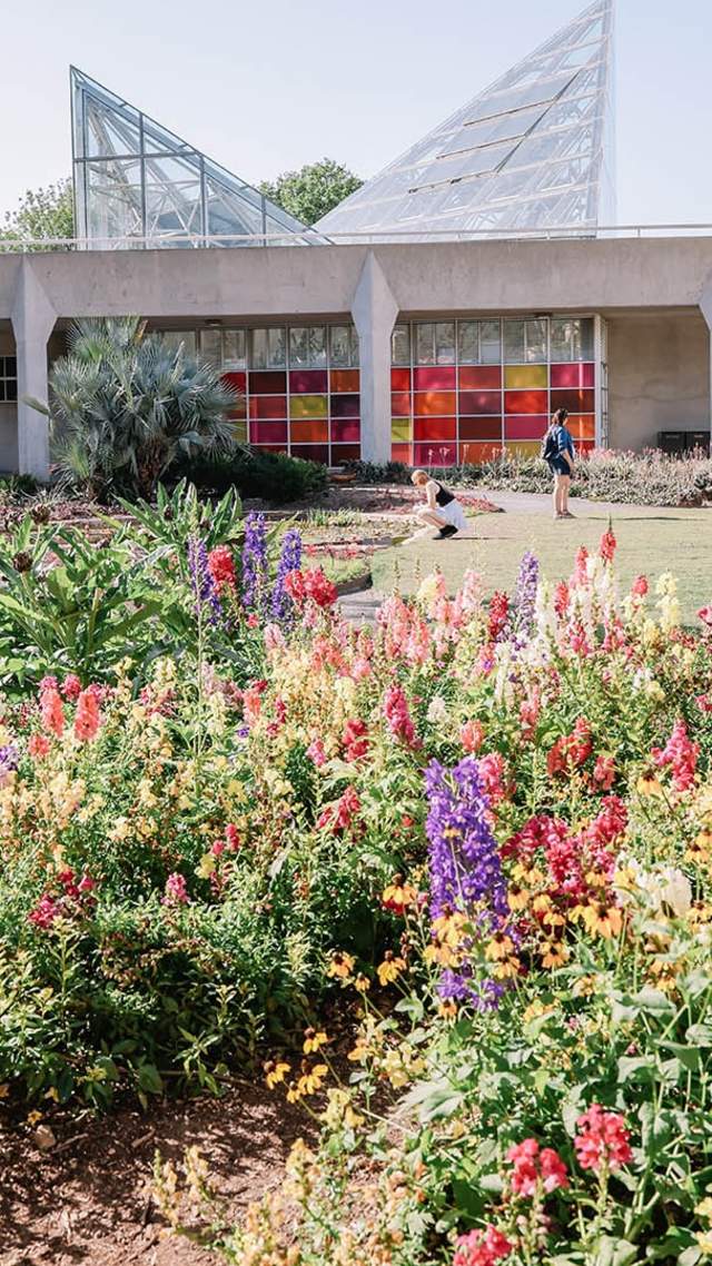 Enjoy the Sunshine: Outdoor Adventures to Experience in San Antonio