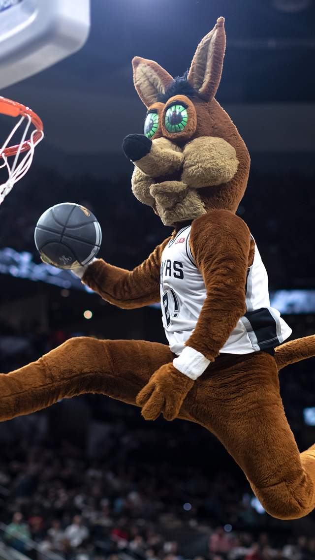 San Antonio Spurs Coyote slam dunking basketball at Spurs game