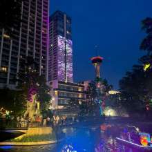 IPW 2023 Downtown Illumination