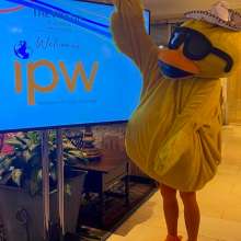IPW Duck 2