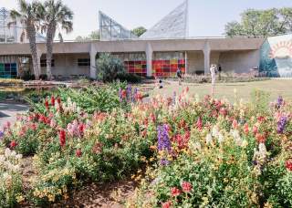 Enjoy the Sunshine: Outdoor Adventures to Experience in San Antonio