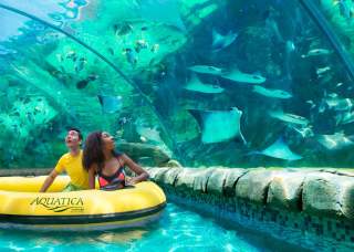 San Antonio in the Summer: Things to Do Every Month