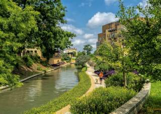 Dog-Friendly Things to Do in San Antonio