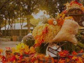 Fall-Events-e1666373511397