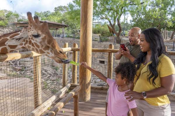 San Antonio Zoo Named One of the Best Zoos in the World by  Condé Nast Traveler
