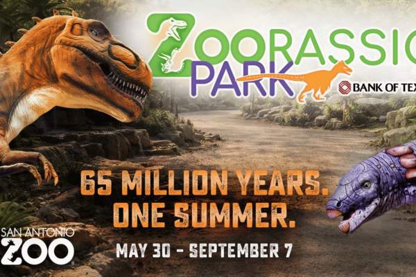 San Antonio Zoo Unleashes a Prehistoric Summer with Zoorassic Park, Presented by Bank of Texas