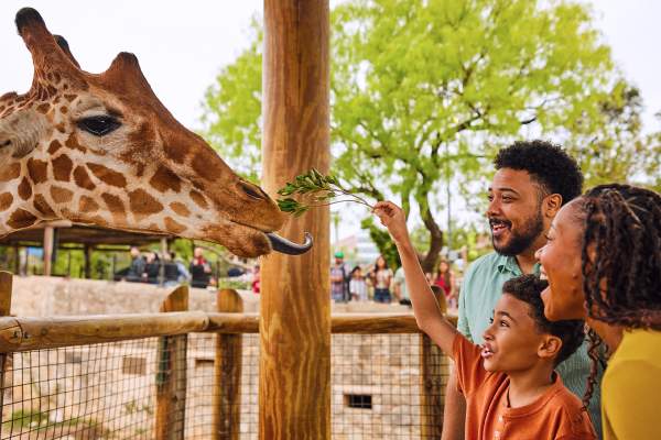 The 10 Best Zoos in the United States